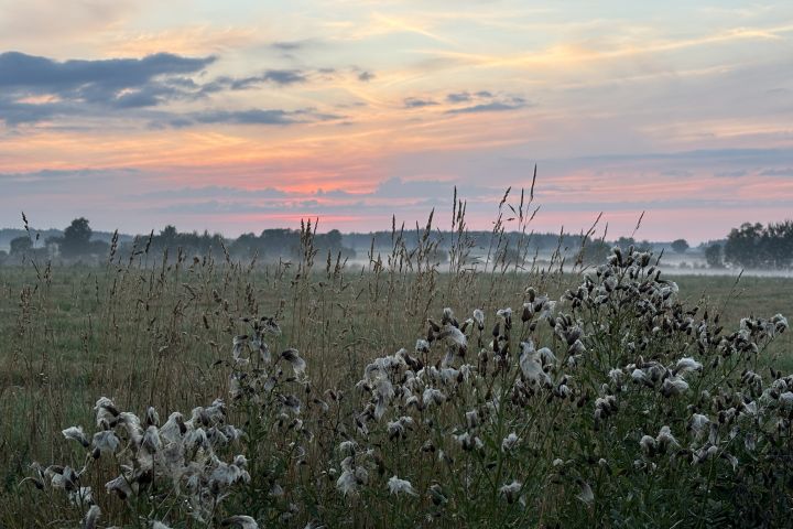 Ogłoszenia - 30.08.2026