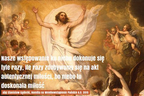 Ogłoszenia - 01.06.2025